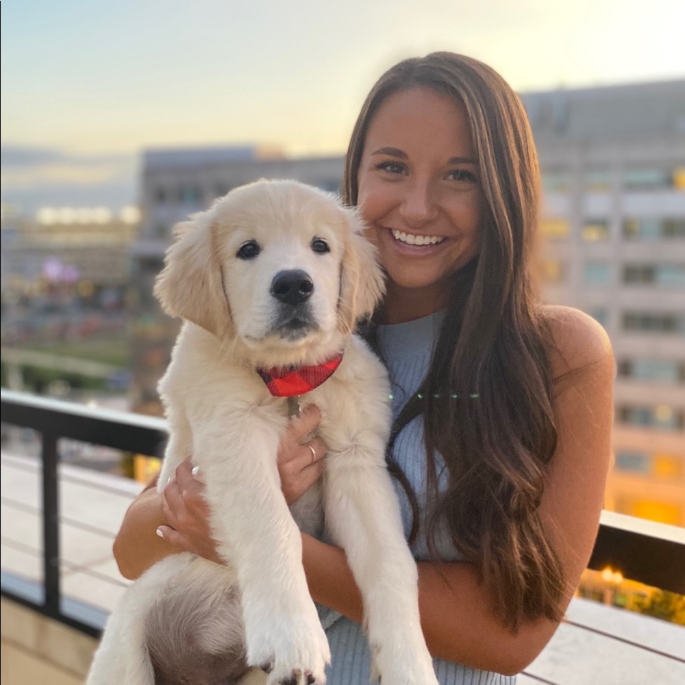 Meet your Posher, Bronti